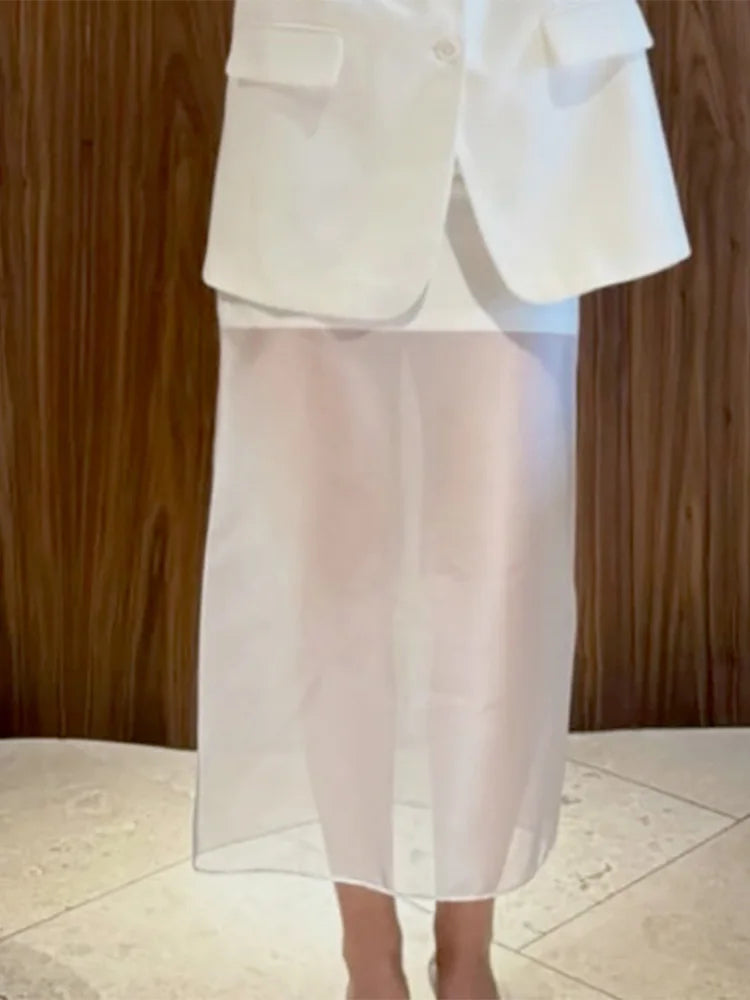 The Sheer Elegance Skirt