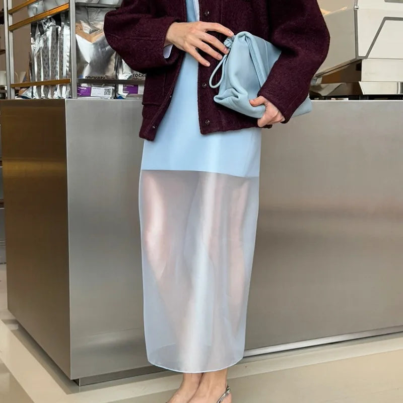 The Sheer Elegance Skirt